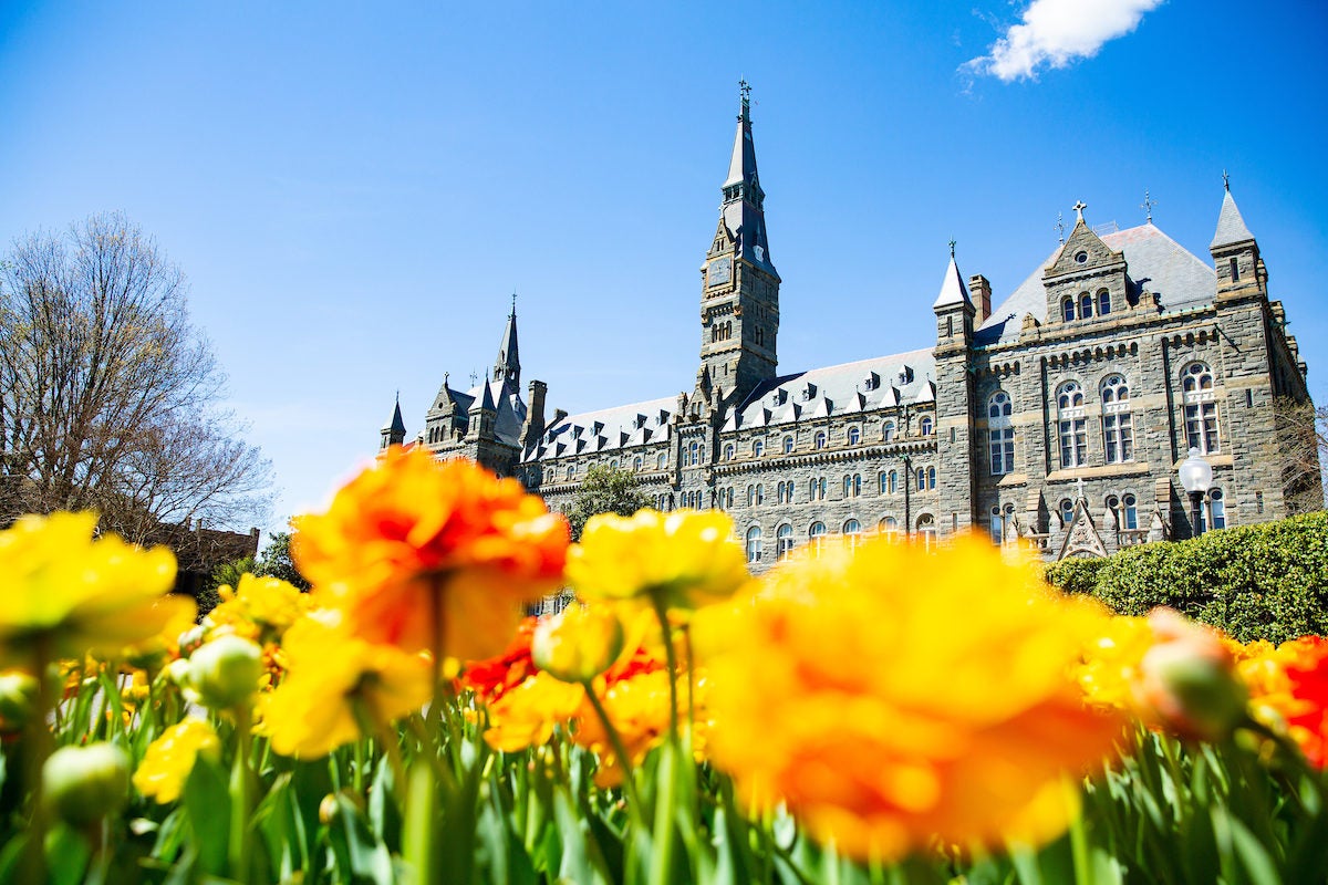 Healy Hall with yellow flowers in front of it